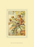 The Acorn Fairy