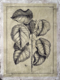 Embellished Antique Foliage IV