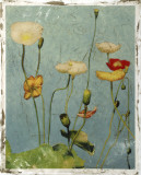 Embellished Poppies II
