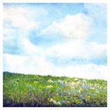 Bright Field I