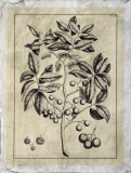 Embellished Antique Foliage VI