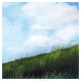 Bright Field II