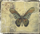 Postcard Song IV