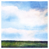 Bright Field III