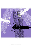 Pop Fly V