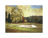 After the Rain at Merion