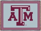 Texas A&M University  Collage