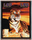 Louisiana State University  Tiger