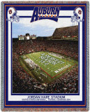 Auburn University  Perfect Season
