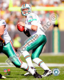 Chad Henne 2010 Action