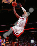 Dwyane Wade 2010-11 Action