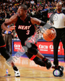 Dwyane Wade 2010-11 Action