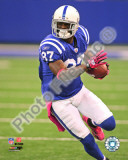 Reggie Wayne 2010 Action