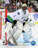 Roberto Luongo 2010-11 Action