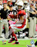 Larry Fitzgerald 2010 Action