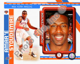 Amare Stoudemire 2010-11 Studio Plus