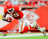 Dwayne Bowe 2010 Action