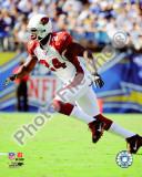 Adrian Wilson 2010 Action