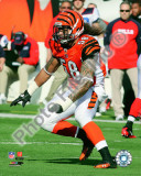 Rey Maualuga 2010 Action