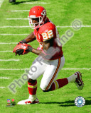Dwayne Bowe 2010 Action