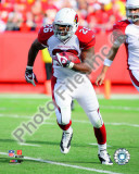 Beanie Wells 2010 Action