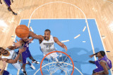 Phoenix Suns v Denver Nuggets: Shelden Williams