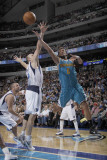 New Orleans Hornets v Dallas Mavericks: Marco Belinelli and Brian Cardinal