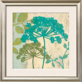 Modern Queen's Lace