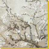 Almond Branches in Bloom  San Remy  c1890 (tan)