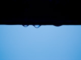 Raindrops