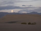 Mesquite Dunes Near Stovepipe Wellssunset Moonrise