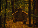 A Little Stone Shelter in a Woodland Setting