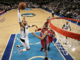 New Jersey Nets v Dallas Mavericks: Shawn Marion and Brook Lopez