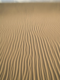 Ripples in Sand Dunes at Mesquite Dunes Near Stovepipe Wells