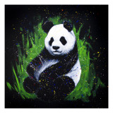 Baby Panda