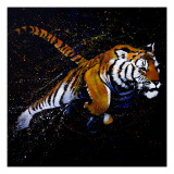 Tiger Jumping