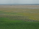 An Aerial View of the African Savanna and Groups of Animals