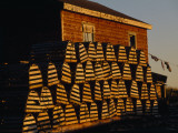 Neatly Stacked Lobster Traps at a Fishing Camp  Gros Morne Np  Newfoundland  Canada
