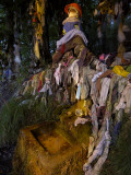 An Ancient Celtic Holy Well with Rags Dipped and Hung for Good Luck