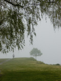 A Cyclist Pedals Through Fog Enveloping a Connecticut Shoreline