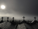 Sun Shining Through Fog on Mausoleums