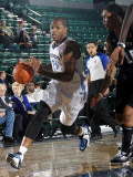 Austin Toros v Texas Legends: Rashad McCants