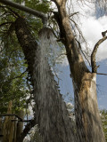 An Outdoor Shower in Chitabe Camp