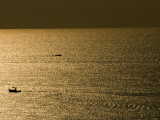 Boats Silhouetted Against a Glittering Ocean