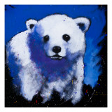 Baby Polar Bear