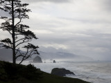 Silhouette of a Tree with the Rocky Oregon Coast in the Background