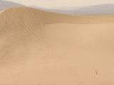 A Woman Walks across Mesquite Dunes Near Stovepipe Wells