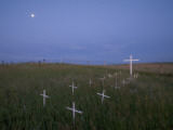 White Crosses Stand Out in Early Morning at St Boniface Cemetery