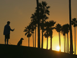 Silhouettes of a Man and His Dog and Palm Trees at Sunset