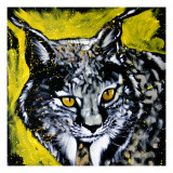 Lynx